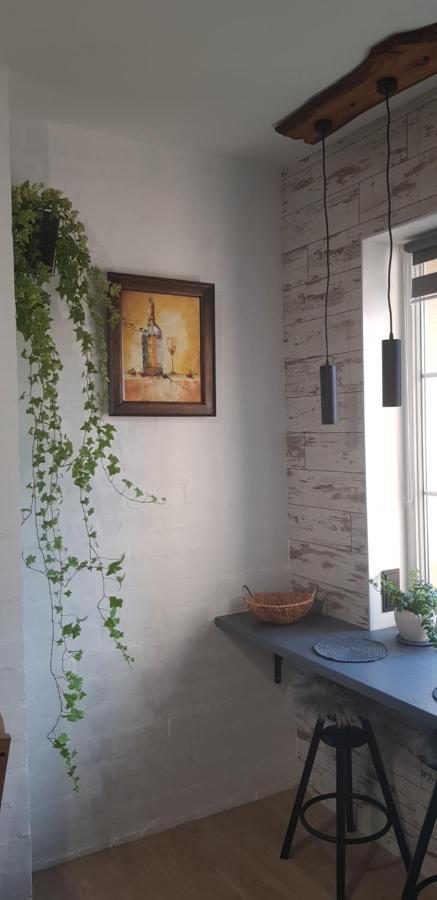 קלייפדה Dailidziu Apartamentai מראה חיצוני תמונה